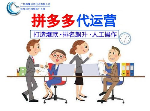 宁波店铺代运营哪家好服务至上 广州海鹰信息技术有限公司